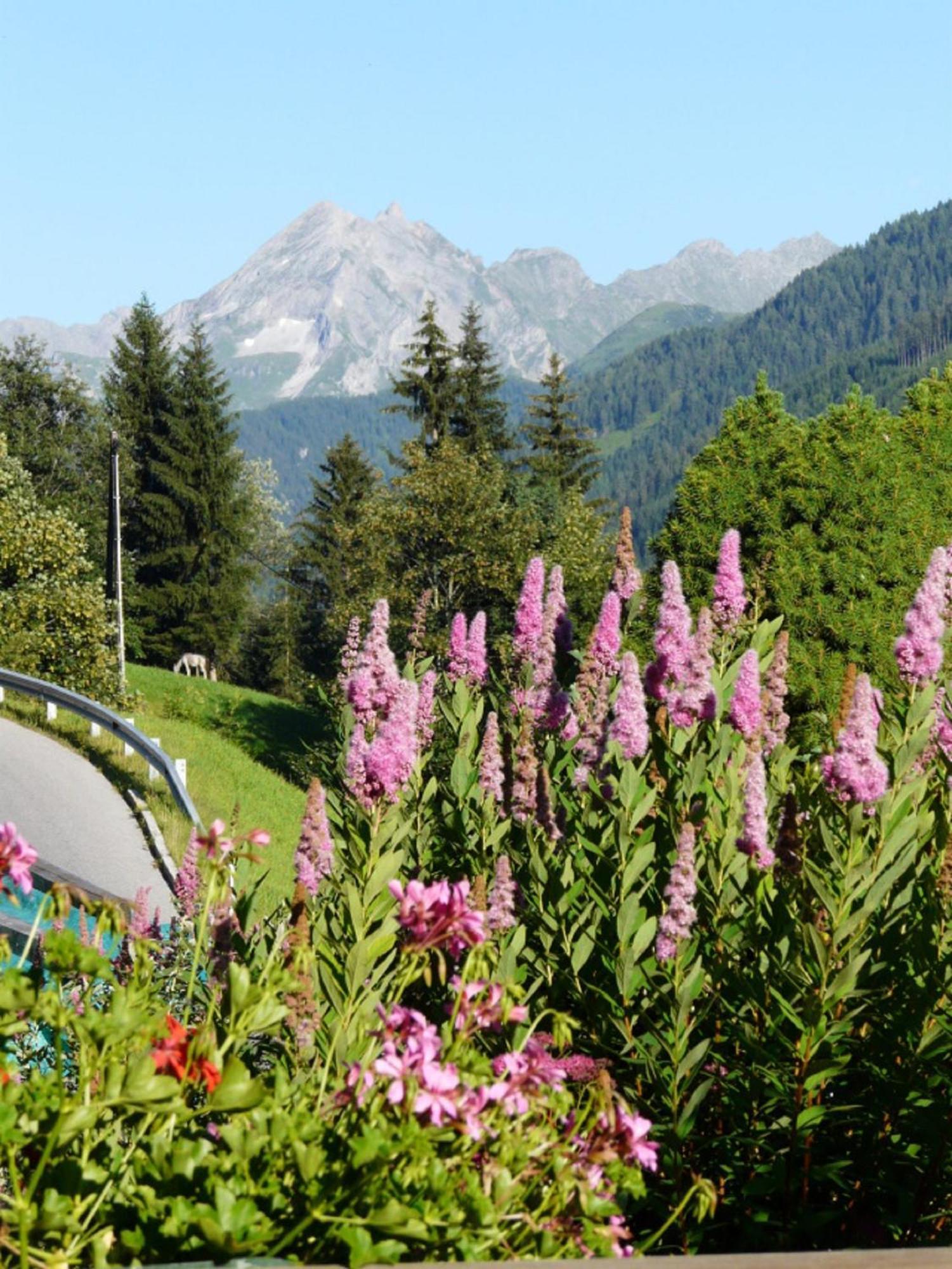 Haus Kammerland Zell am Ziller Εξωτερικό φωτογραφία